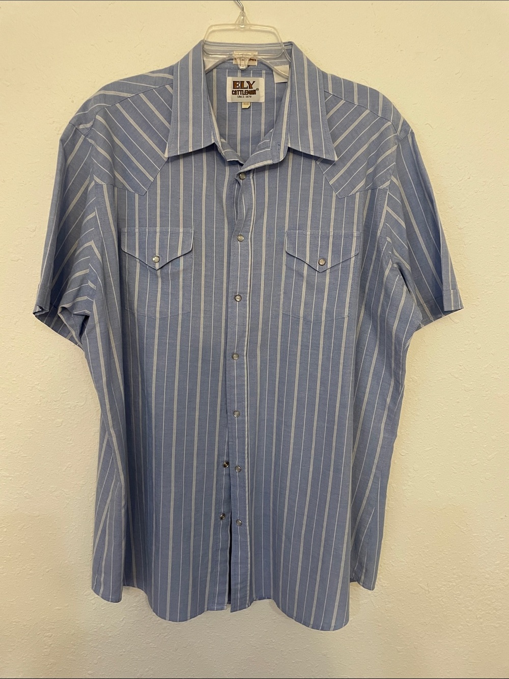 Ely Cattleman Blue & White Vertical Stripe Western Shirt